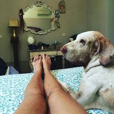 Lucrezia lante della rovere was born on july 19, 1966 in rome, lazio, italy as donna lucrezia lante montefeltro della rovere. Lucrezia Lante Della Rovere S Feet Wikifeet