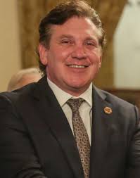 Alejandro Domínguez (football executive)