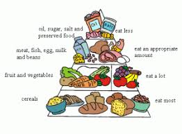 Balanced Diet Healthy Diet To Lose Weight Fast And Well