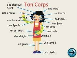 Body parts diagram in french. 9 French Ideas How To Speak French Learn French French Lessons