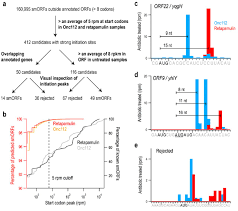 Identifying Small Proteins By Ribosome Profiling With