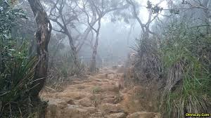 Kepada sesiapa yg berminat untuk mendaki gunung kinabalu boleh hubungi saya di : Persiapan Mendaki Gunung Kinabalu Dengan Pakej Rm269 Ohvacay Com