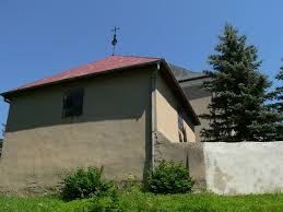 Image result for nemoci u%u0161  u ps%u016F