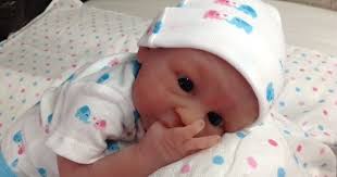 Birds And Bees Nursery Birds Bees Nursery Adopted Silicone Babies Real Life Baby Dolls Cute Baby Dolls Silicone Babies