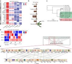 Gtech's work is made possible by the sponsors, supporters and partners who dedicate their time the pittsburgh project. The Draft Genome Of Tropical Fruit Durian Durio Zibethinus Nature Genetics
