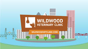 4246 se belmont st, suite 1. The Ultimate Guide To The Top Veterinarians In Portland Oregon Fauna Care