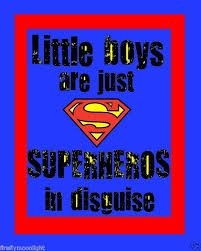 Superhero Quote Quote Number 606781 Picture Quotes