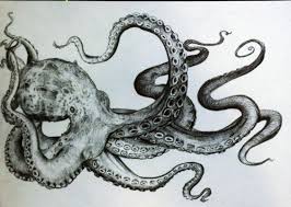 Black And White Drawing Octopus Pencil Squid Street Art Tatuaggi Di Polipi Disegni Tentacolo