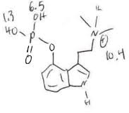 How Come One Of The Hydroxides In The Phosphate Group Are More Acidic Than The Other Chemistry Stack Exchange