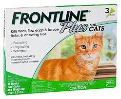 Frontline Plus Flea And Tick Control For Cats And Kittens 8 Weeks And Older 3 Mo Supply Click Sponsored I Frontline Plus For Cats Cat Fleas Cat Medicine