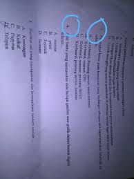 Sebutkan beberapa contoh kerusakan pada komputer. Perangkat Keras Pada Komputer Yg Berfungsi Sebagai Alat Input Masukan Adalah Brainly Co Id