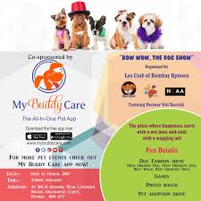 My Buddy Care Partners With Bow Wow Dog Show Bring Your Buddy For The Dog Fashion Show And Spend Some Quality Time Pamperin Dog Show Doggie Style Bow Wow We enjoyed so much, especially dog competition. pinterest