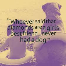 A dog is the only thing on earth that loves you more than he loves himself. 25. Best Friend Dog Quotes Quotesgram