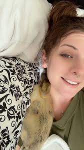 Duckling Pecks Owner's Eye: A Cautionary Tale