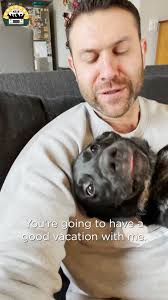 Fostering a baby boy who was dumped