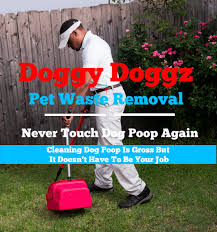 Some can last in your yard for as long as four years if not cleaned up. Dog Poop Service Serving Dallas Ft Worth Doggy Doggz