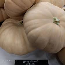 Maybe you would like to learn more about one of these? Winter Squash Seeds Long Island Cheese Sow True Seed