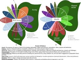 Exploring Health And Well Being In Taiwan What We Can Learn From Individuals Narratives Springerlink