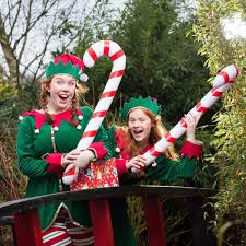 Select a character, input your real name, then click to submit and pull the lever. Santa Needs Helpers This Christmas Here S How To Take Part In The Elf Challenge At Trentham Gardens Stoke On Trent Live