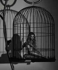 Free Bird Cages Near Me Pin By Designer Artist Photographer On Kate Near Dark Fallen Angel Black And White Photography