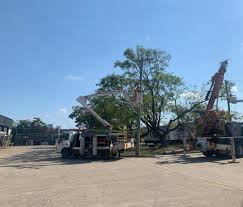 Brisbane city möter peninsula power idag i npl queensland. Brisbane Power Poles Locally Owned Operated Over 10 Years Experience