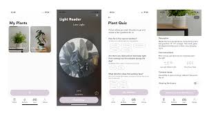 Plantnet describes itself as a citizen science project on biodiversity. 7 Apps To Keep Your Plants Alive And Well