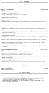 Principal Business Analyst Resume Sample Mintresume