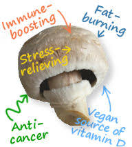 And weil, founder and … Health Benefits Of Eating Mushrooms From Anti Cancer Effects To Stress Relief