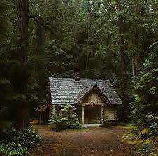 Paradise Hidden In Trees Cabins In The Woods House In The Woods Cabins And Cottages