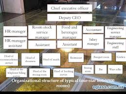 organization of interaction in hospitality management