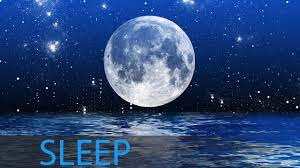 Calming, relaxing, soothing, peaceful, and tranquil music. Sleep Music Sleep Meditation Calm Music Sleep Therapy Insomnia Spa Study Relax Sleep 1896 Youtube
