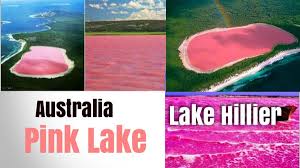 Every traveller who is in the know is aware that western australia has some of the most incredible natural wonders. Lake Hillier The Pink Lake At Western Australia Web Cool Tips