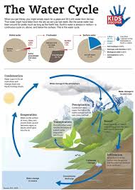 The Water Cycle Water Cycle Science Education Elementary Science