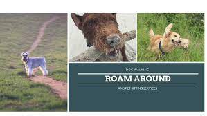 Pet sitting is more expensive than boarding at a kennel. Roam Around Dog Walking And Pet Sitting Services Home Facebook