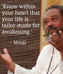 Lonnie Packard (LonniePackard11)