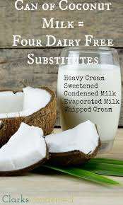 Need A Dairy Free Substitute Coconut Milk To The Rescue Here Are Four Ways To Use Coconut Milk To Ma Dairy Free Cooking No Dairy Recipes Lactose Free Recipes