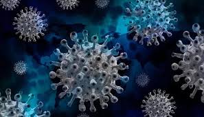 In a press briefing on tuesday, niti aayog's dr vk paul said that the new covid variant delta plus is a variant of interest. What Is The Kappa Variant Of Covid 19 Detected In Up Here S All You Need To Know