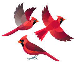 536 227 Birds Illustrations Royalty Free Vector Graphics Clip Art Istock Bird Drawings Animal Sketches Cardinal Drawing