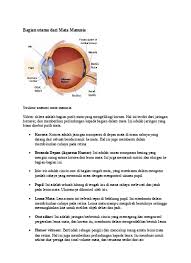 Mata adalah organ penglihatan yang menerima rangsangan berupa cahaya. Bagian Utama Dari Mata Manusia