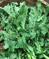 The ideal growing soil temperature is 60 to 65 degrees. Cima Di Rapa Broccoli Raab 60 Days A Crispy Deep Green Raab That Springs Up Quickly Cima Di Rapa Grows To About 12 Tall Broccoli Raab Still Tasty Broccoli