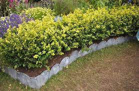 Bordure in corten per aiuole a incastro di facile sagomatura e installazione. Bordure Giardino Quando Utilizzarle E Quale Scegliere My Green Help