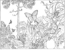 Hgtv gardening expert felder rushing offers ideas for adding winter color to the garden. Secret Garden Coloring Pages Coloring Home