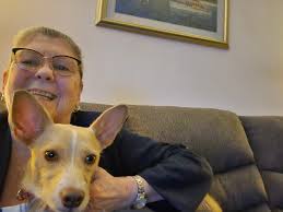 Northern Illinois dog show entry points