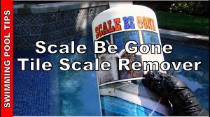This white, scaly buildup is often. Scale Be Gone Removes Scale From Pool Tiles Vinyl Liners Youtube