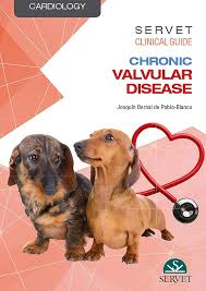 Servet Clinical Guides: Cardiology. Chronic Valvular Disease: Bernal de  Pablo-Blanco, Joaquín, Newman, Lori: 9788417640002: Amazon.com: Books