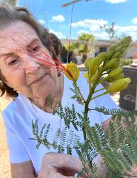 Obituary information for Jean W. (Baxter) Reina