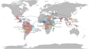 Image result for Sarcophrynium brachystachyum