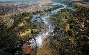 Who will win this epic duel? Hd Wallpaper Botswana Okavango Delta Maun Beauty In Nature Plant Scenics Nature Wallpaper Flare