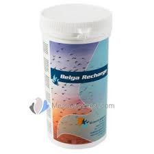 Love liquid stevia drops but don't love the price? The Racing Pigeons Products And Supplies Store Belgica De Weerd Belga Recharge 300gr Proteins For Faster Recovery For Pigeonsracing Pigeon Products