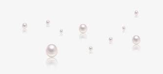 Pearl Pearls White Beads Pearl Earrings